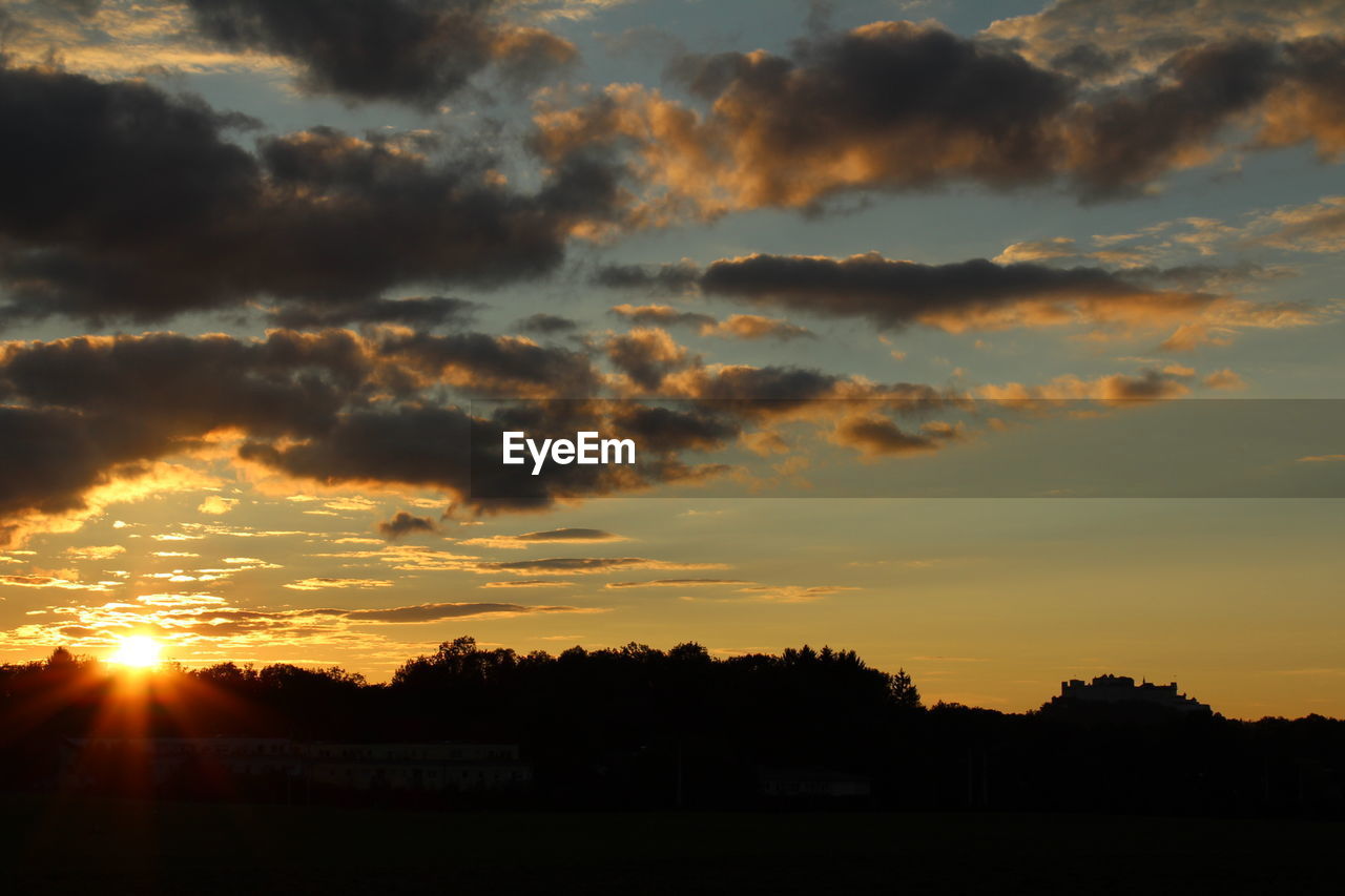 SILHOUETTE TREES ON FIELD AGAINST SKY DURING SUNSET