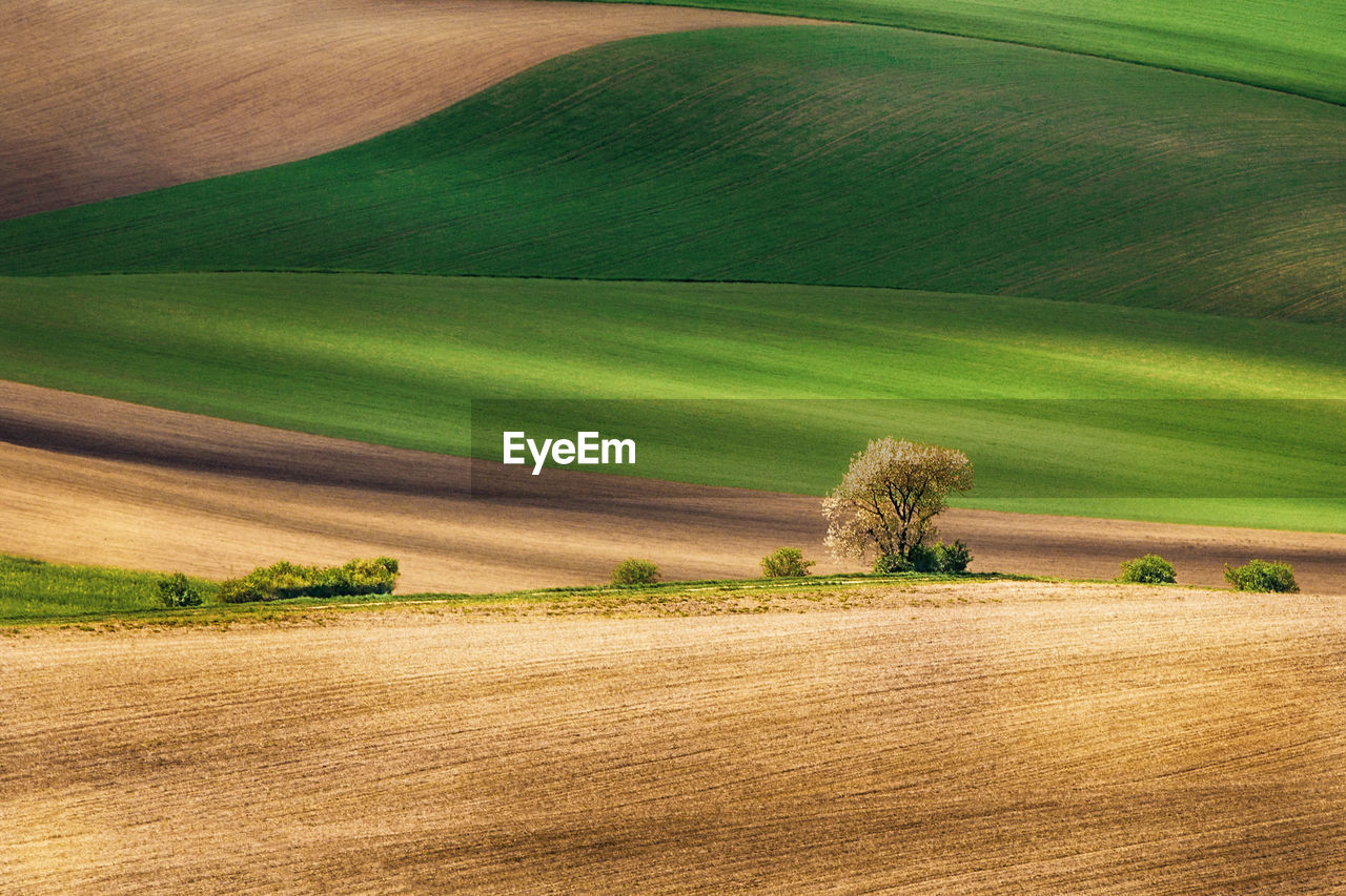 Scenic view of grassy hill