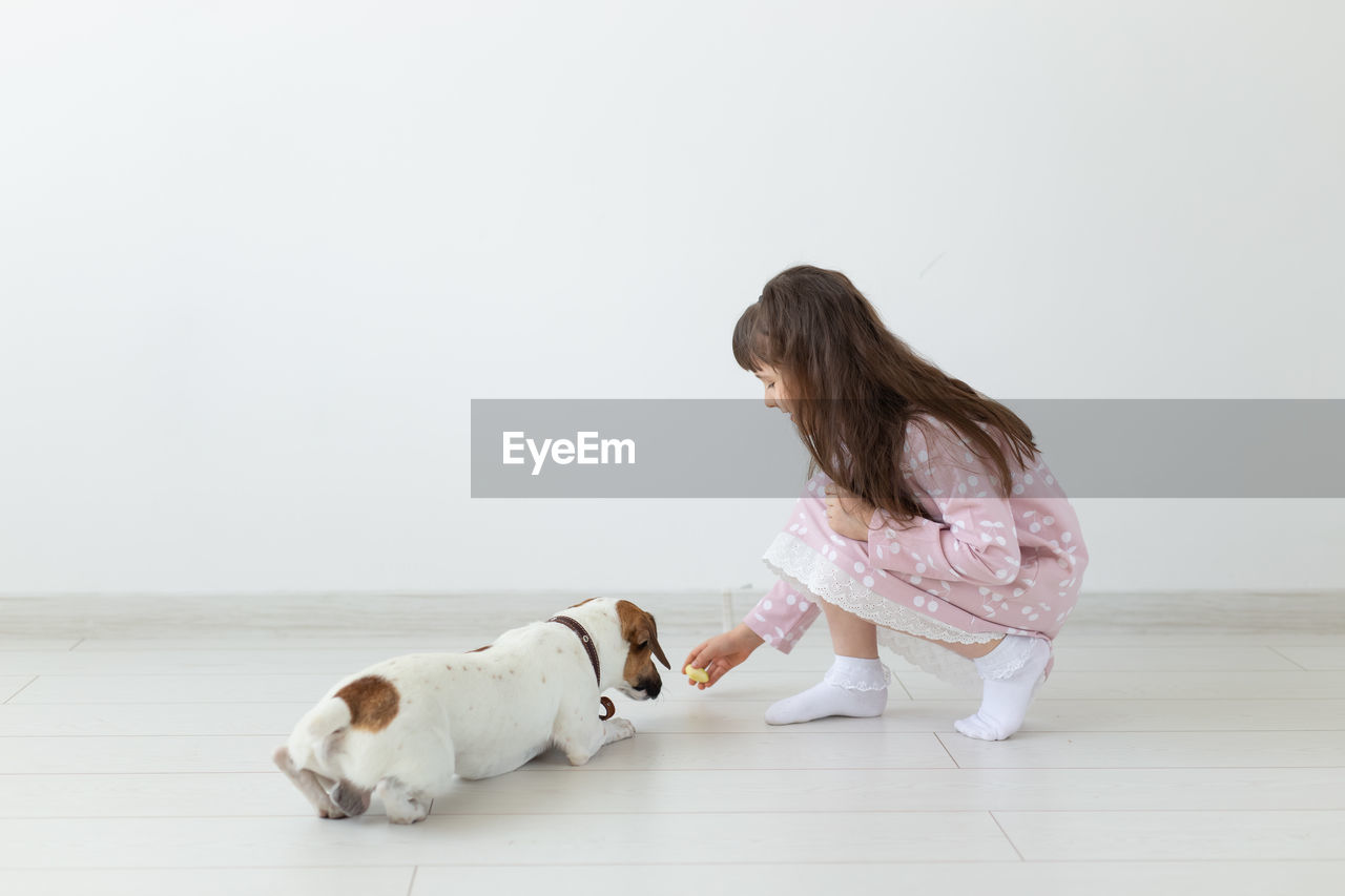 Dog lying on floor against white wall