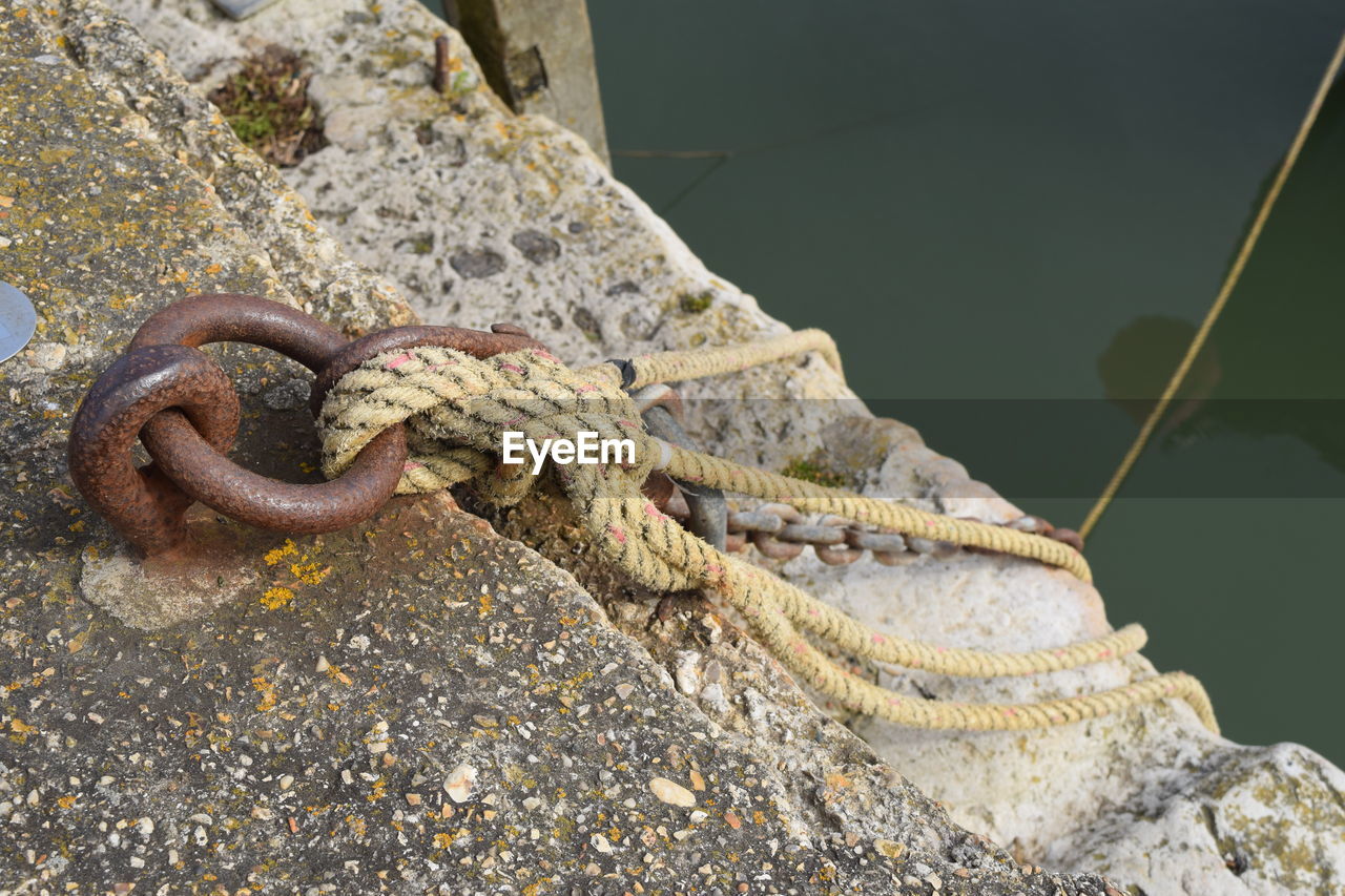 CLOSE-UP OF SNAKE ON ROCK