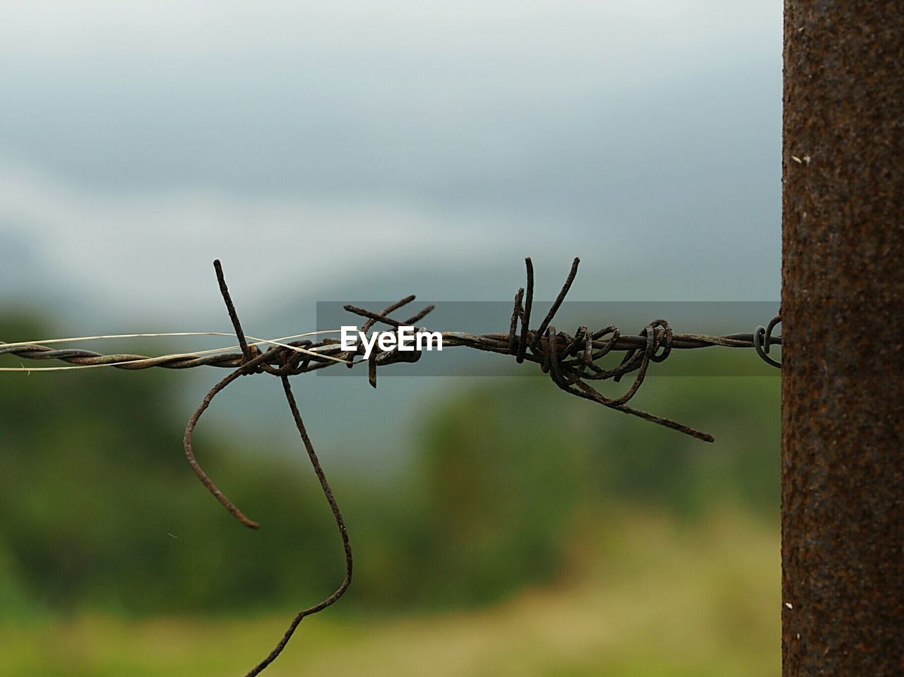 CLOSE-UP OF A BARBED WIRE