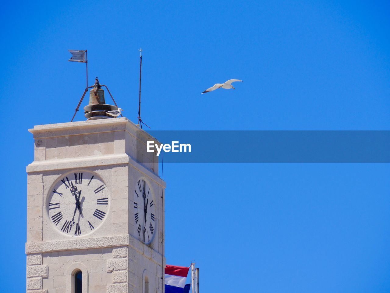 LOW ANGLE VIEW OF SEAGULL FLYING AGAINST BLUE SKY