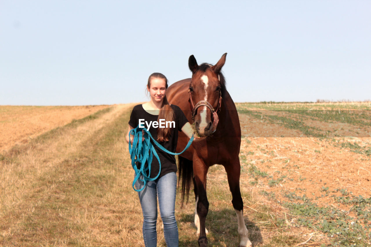 Horse standing in a field