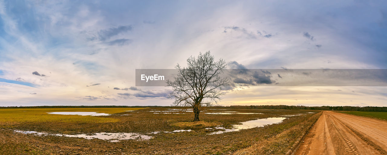 landscape, sky, horizon, environment, nature, cloud, morning, field, land, plant, rural area, prairie, plain, rural scene, hill, tree, road, scenics - nature, beauty in nature, grass, agriculture, sunlight, grassland, no people, dirt, blue, dirt road, dawn, horizon over land, cloudscape, tranquility, outdoors, natural environment, panoramic, non-urban scene, travel, steppe, crop, transportation, sunrise, tranquil scene, dramatic sky, farm, sun, cereal plant, travel destinations, day