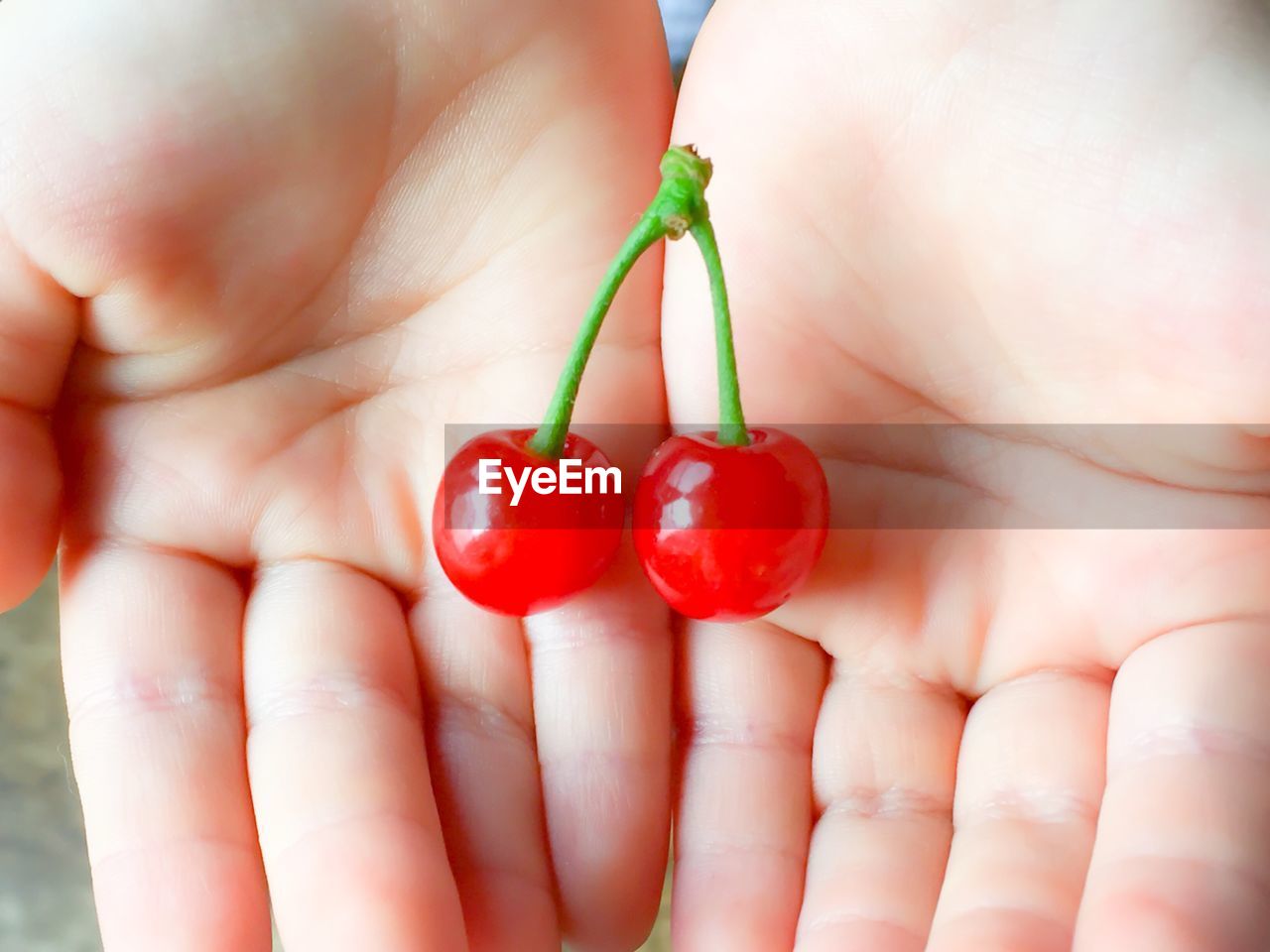 CLOSE-UP OF HAND HOLDING RED BERRIES