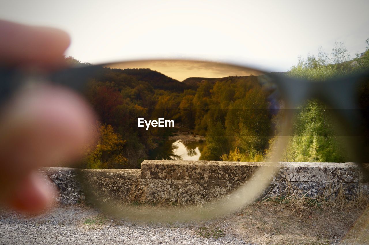 CLOSE-UP OF TURTLE BY TREES AGAINST MOUNTAIN
