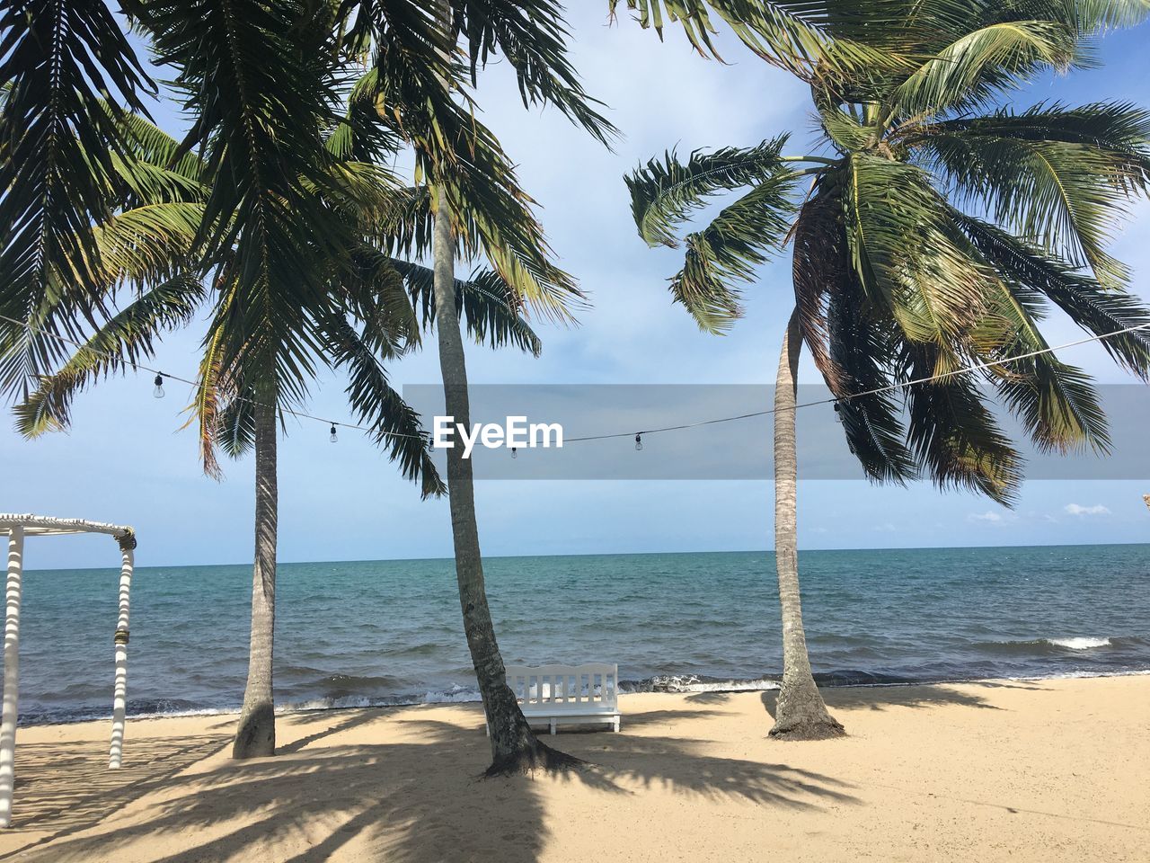PALM TREES ON BEACH AGAINST SEA
