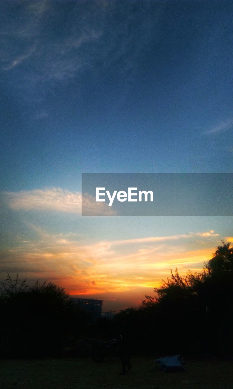 SCENIC VIEW OF DRAMATIC SKY OVER SILHOUETTE TREES