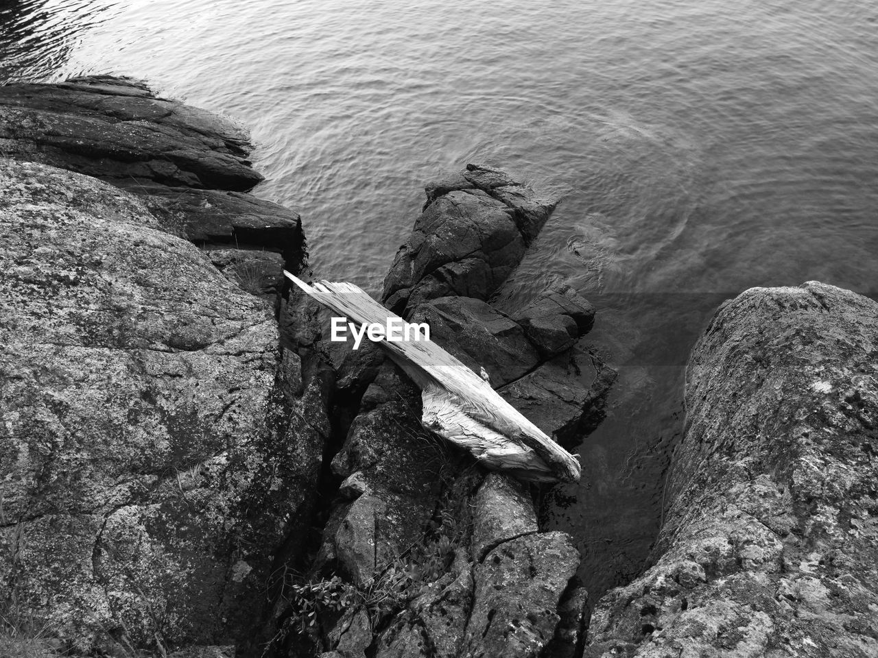 HIGH ANGLE VIEW OF DRIFTWOOD ON SEA SHORE