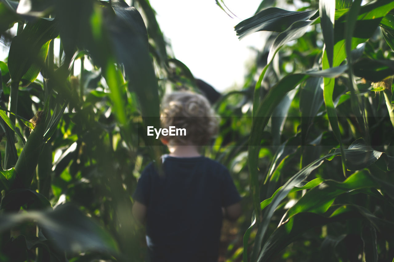 Rear view of boy standing by plants