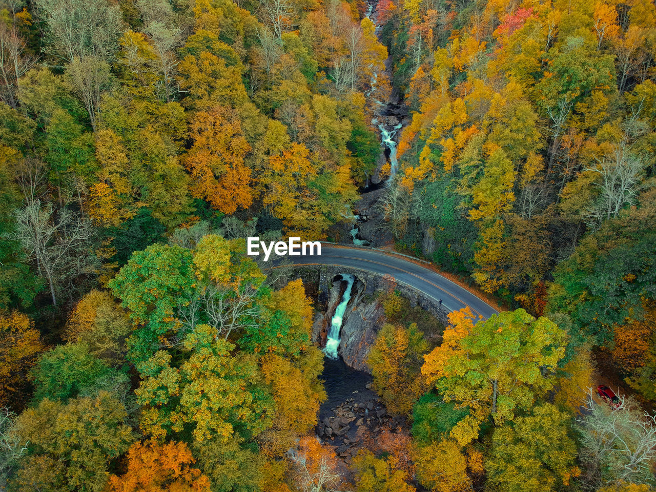 Aerial drone view of overhead colorful fall / autumn leaf foliage near asheville, north carolina.