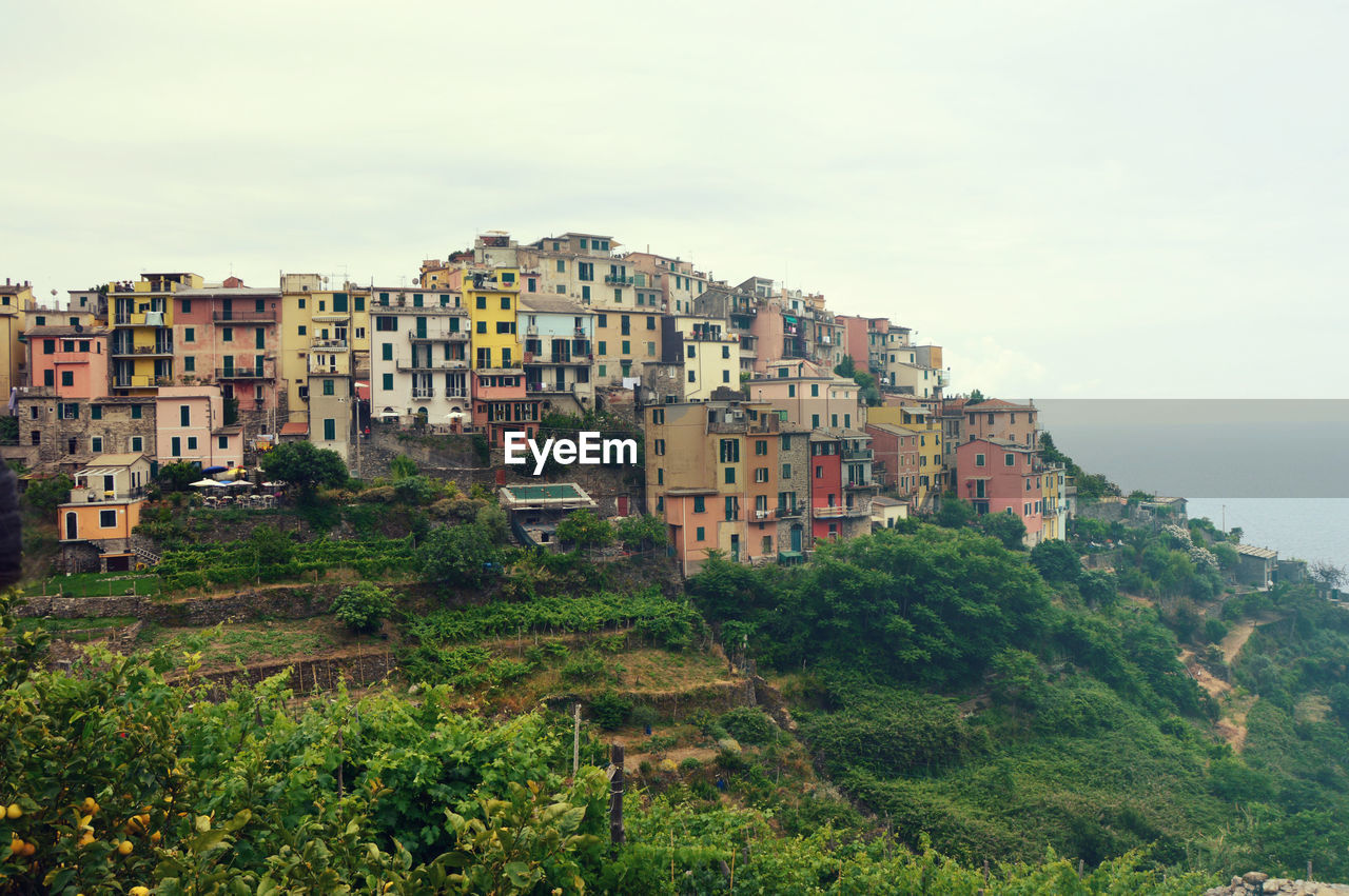 View of city on hill