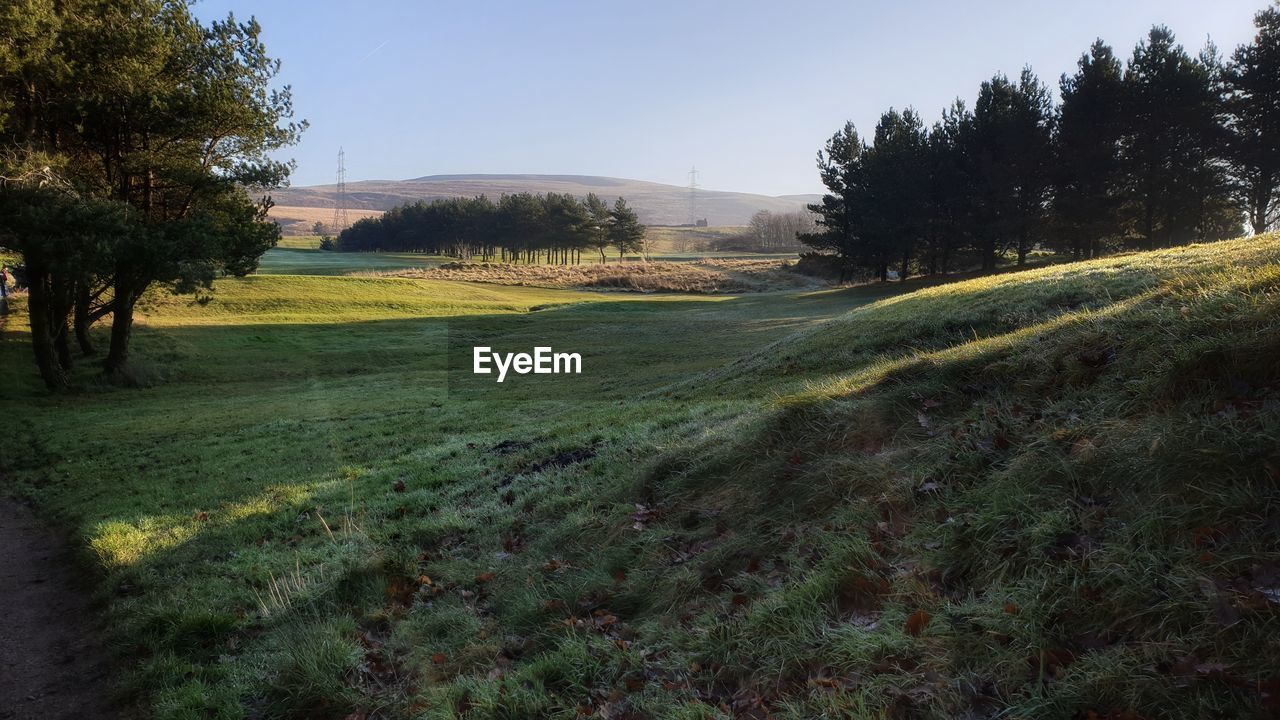 Scenic view of landscape against clear sky