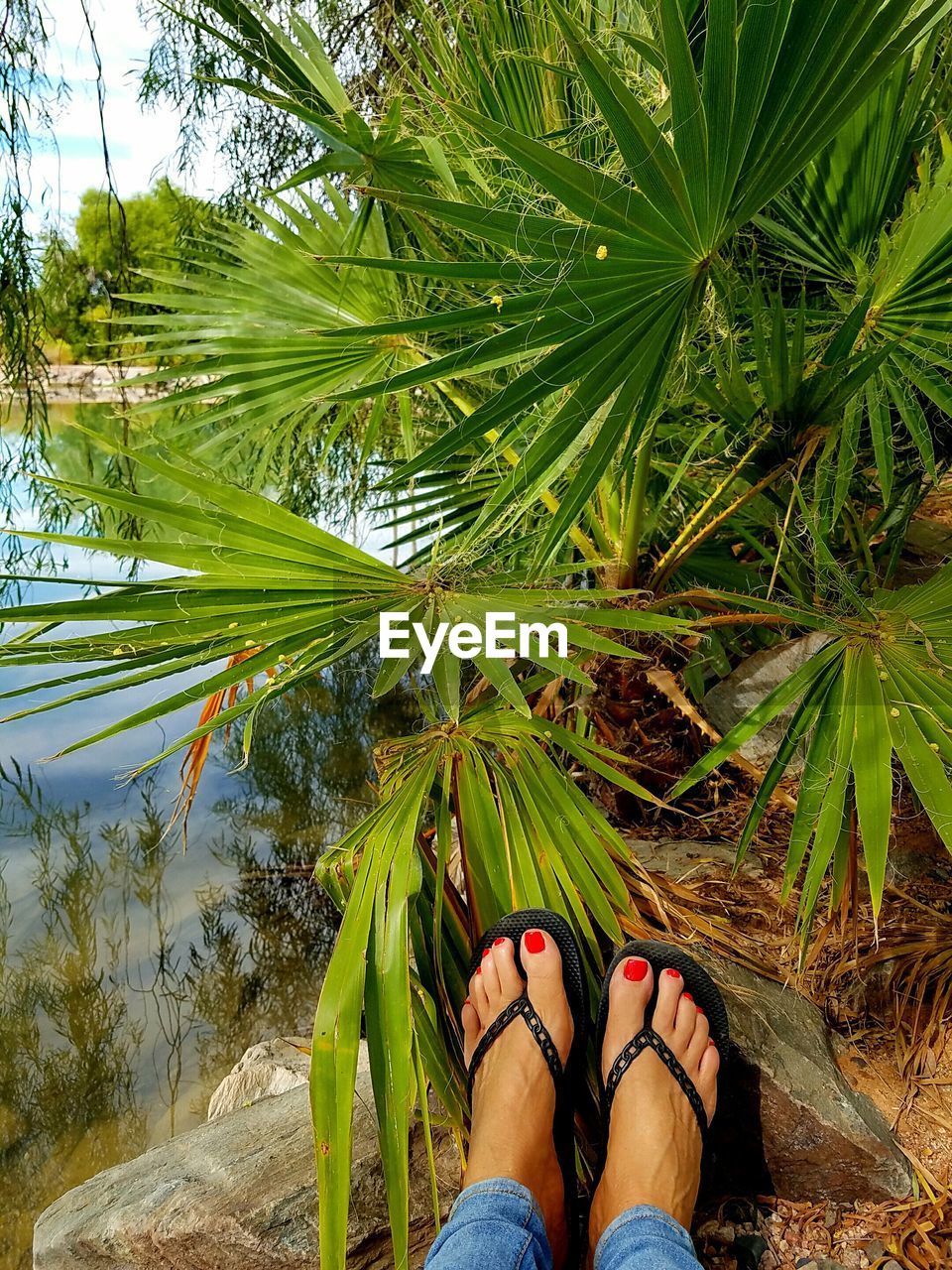 Low section of woman sitting on palm tree