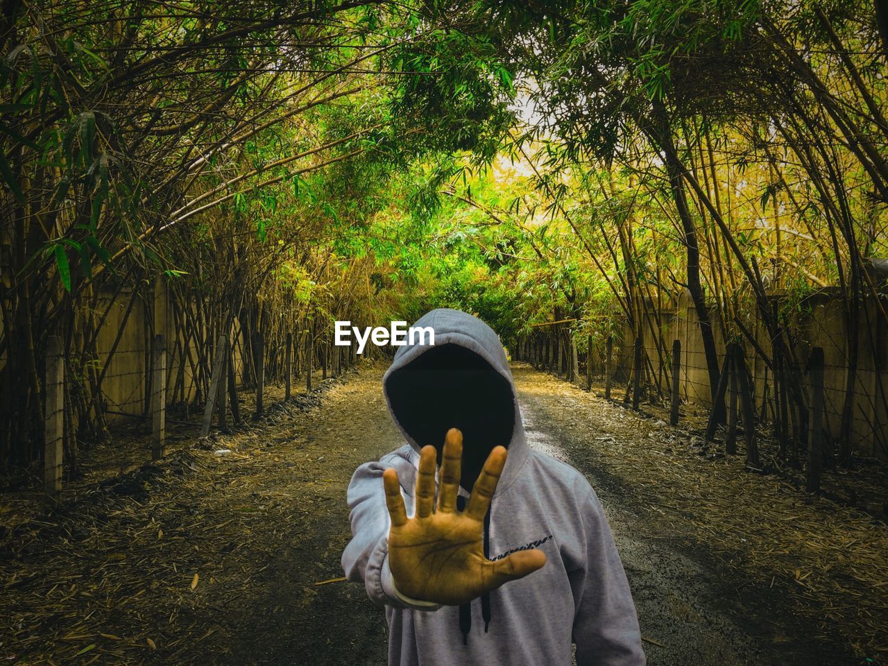 MAN STANDING ON TREE