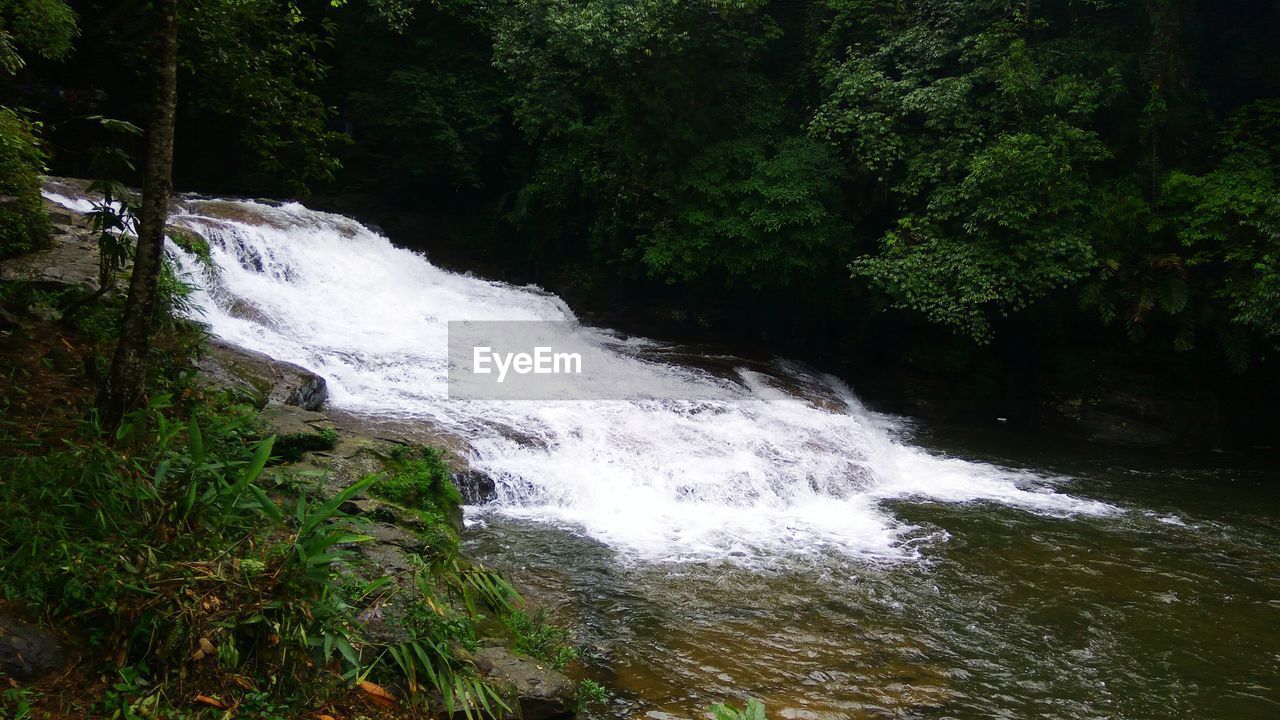 WATERFALL IN FOREST