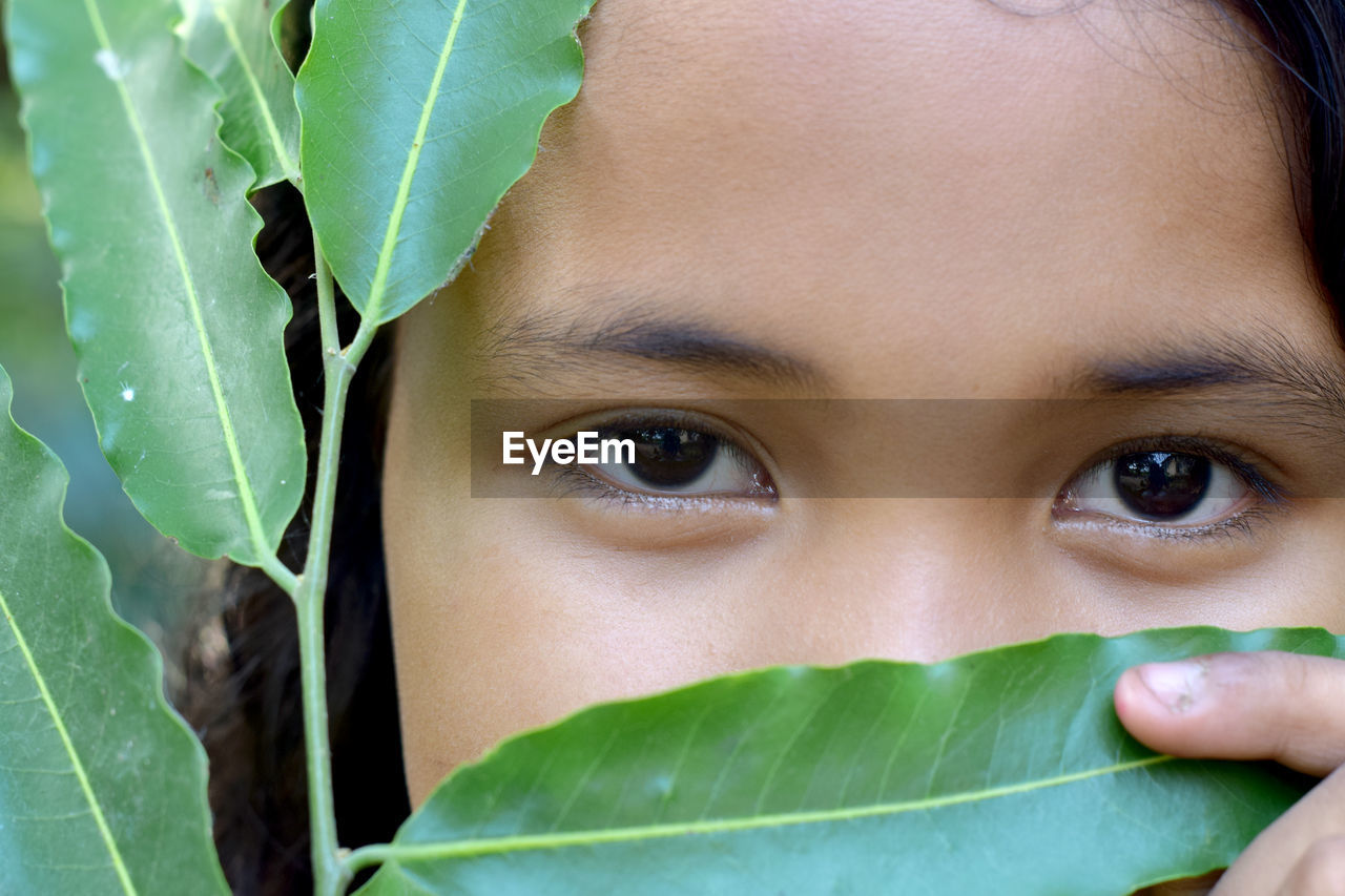 leaf, plant part, portrait, green, one person, close-up, headshot, human face, child, looking at camera, childhood, women, nature, skin, female, eye, human eye, toddler, flower, front view, nose, person, plant, human head, cute, emotion, outdoors, growth, looking, adult, innocence, hiding