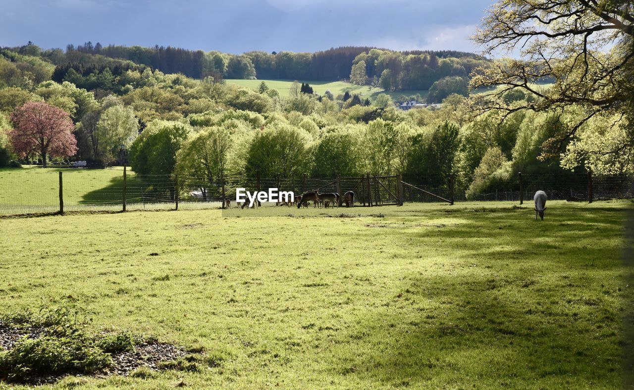 Group of people in field