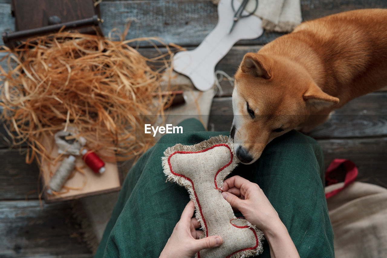 Midsection of woman making diy puppy toys from textile and eco filler 