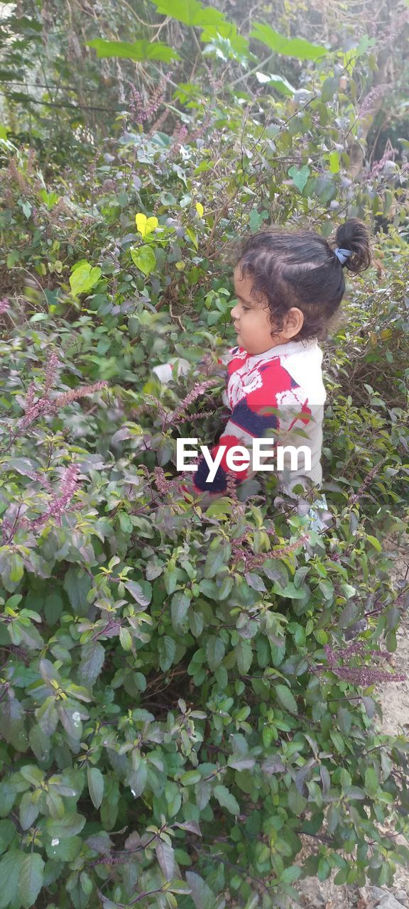 childhood, child, plant, one person, flower, nature, growth, female, day, women, innocence, tree, casual clothing, garden, leisure activity, outdoors, cute, standing, full length, looking, toddler, leaf, shrub, lifestyles, land, plant part, green, high angle view, holding, produce, clothing, three quarter length, front view, person