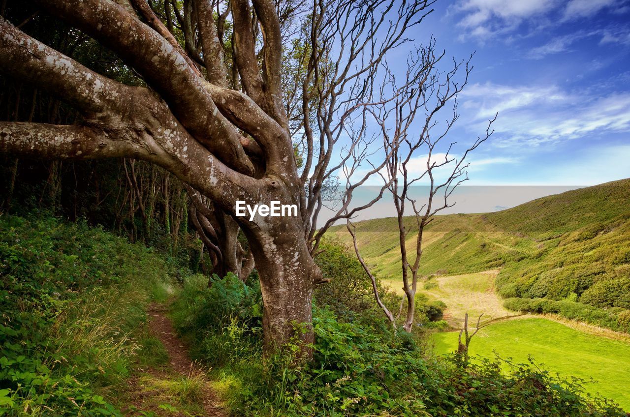 Scenic view of grassy landscape against cloudy sky