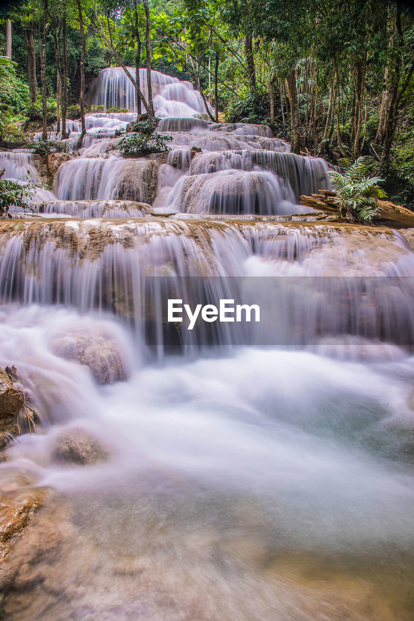 WATERFALL IN FOREST