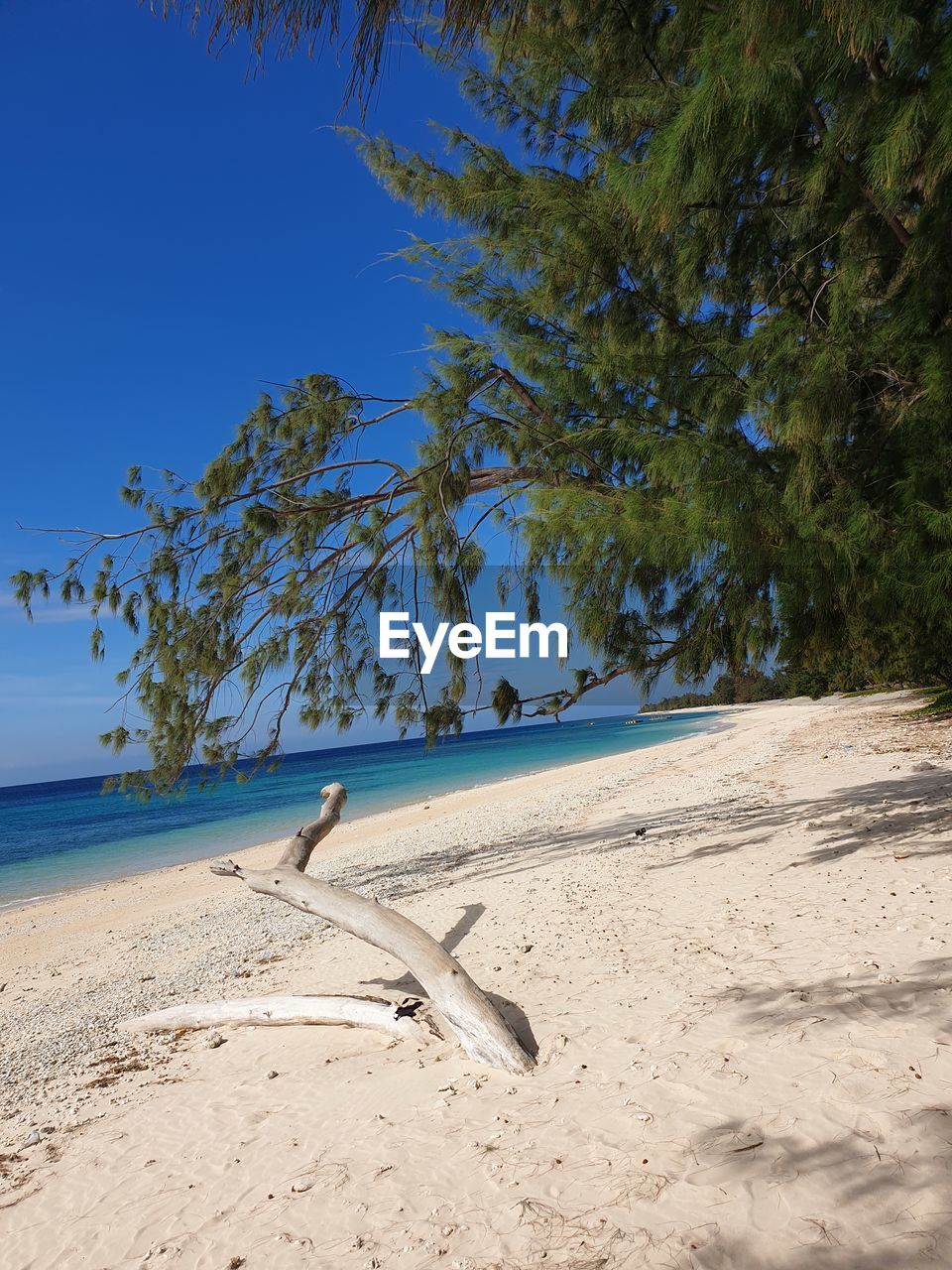 SCENIC VIEW OF BEACH AGAINST CLEAR SKY