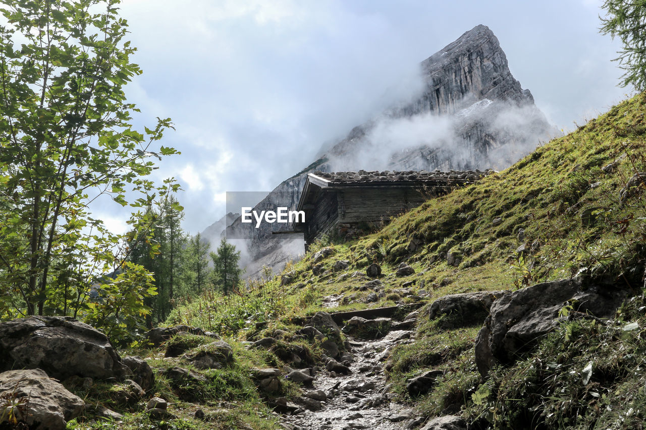 LOW ANGLE VIEW OF WATERFALL AMIDST TREES AGAINST SKY