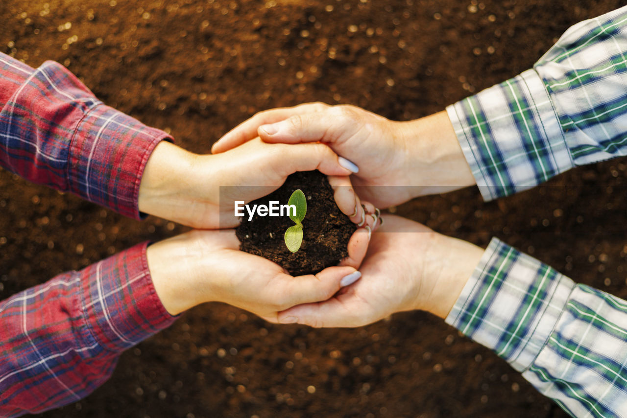 cropped hand of person holding hands on field