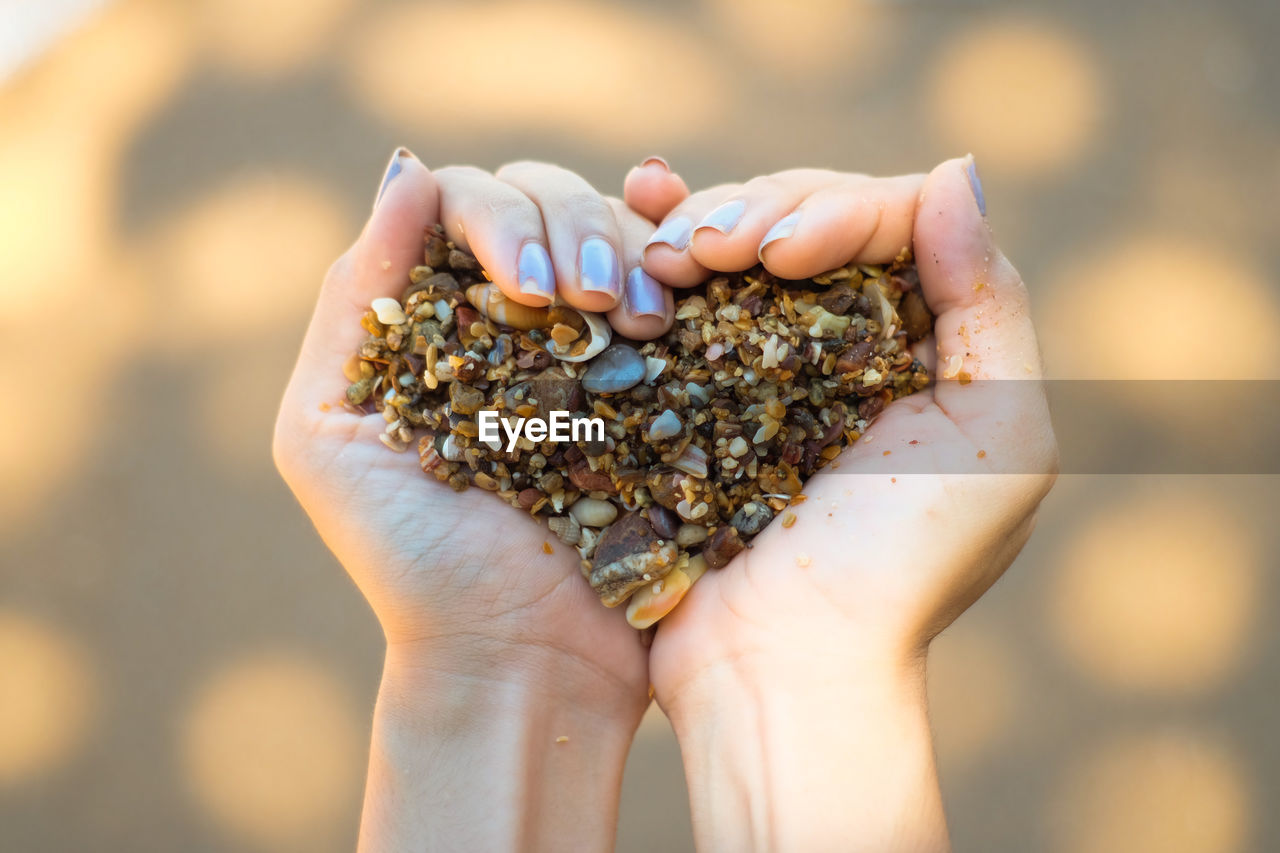 Cropped hands of woman holding shells in heart shape outdoors