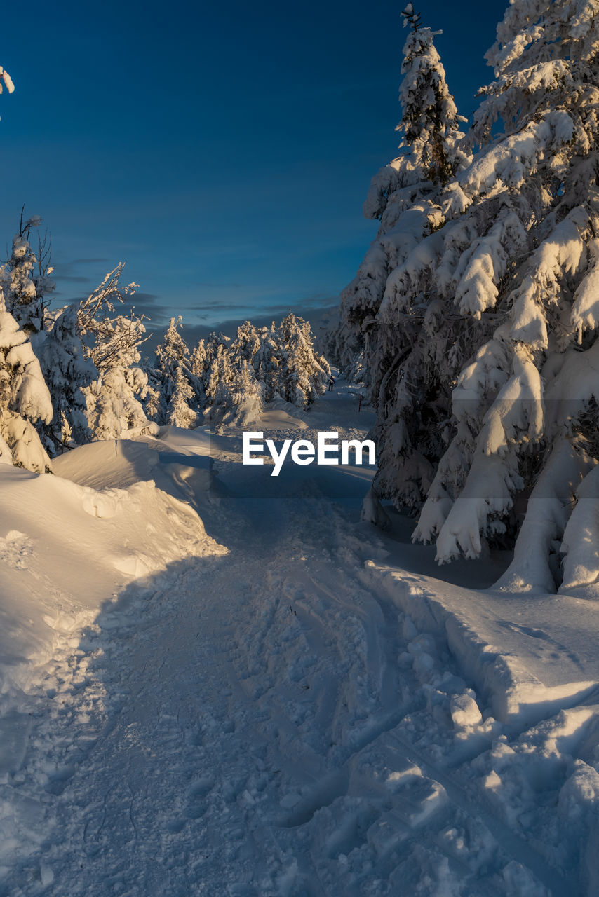 SNOW COVERED LANDSCAPE AGAINST BLUE SKY AND WINTER