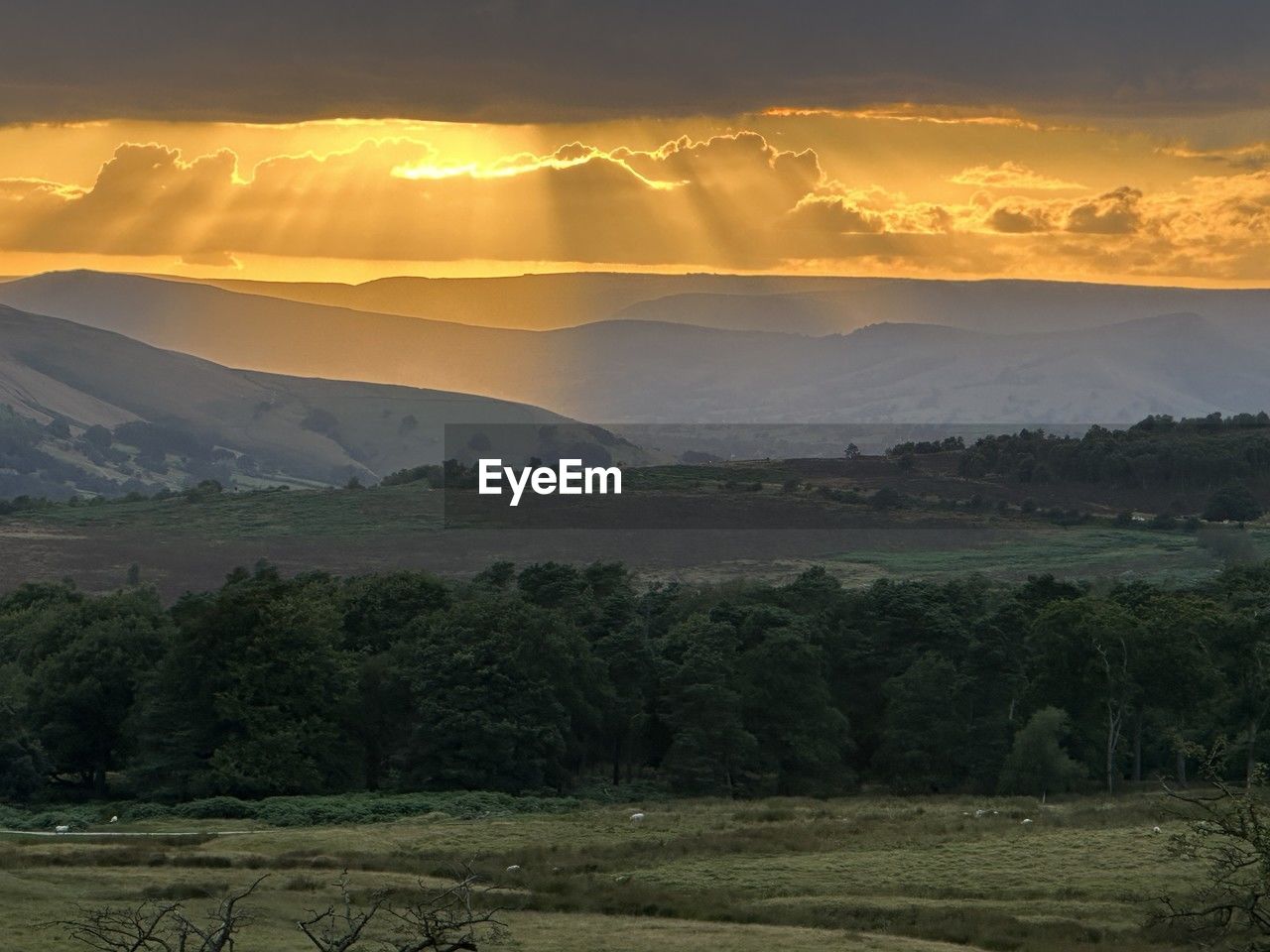 environment, landscape, sky, nature, mountain, scenics - nature, land, beauty in nature, morning, plant, tree, cloud, sun, sunrise, plain, sunlight, horizon, dawn, fog, no people, tranquility, rural scene, field, mountain range, sunbeam, forest, travel, outdoors, natural environment, dramatic sky, tranquil scene, wilderness, twilight, travel destinations, non-urban scene, grass, agriculture, yellow, idyllic, tourism, social issues, summer, rural area, valley, gold, atmospheric mood, mist, grassland, plateau, environmental conservation, orange color, igniting