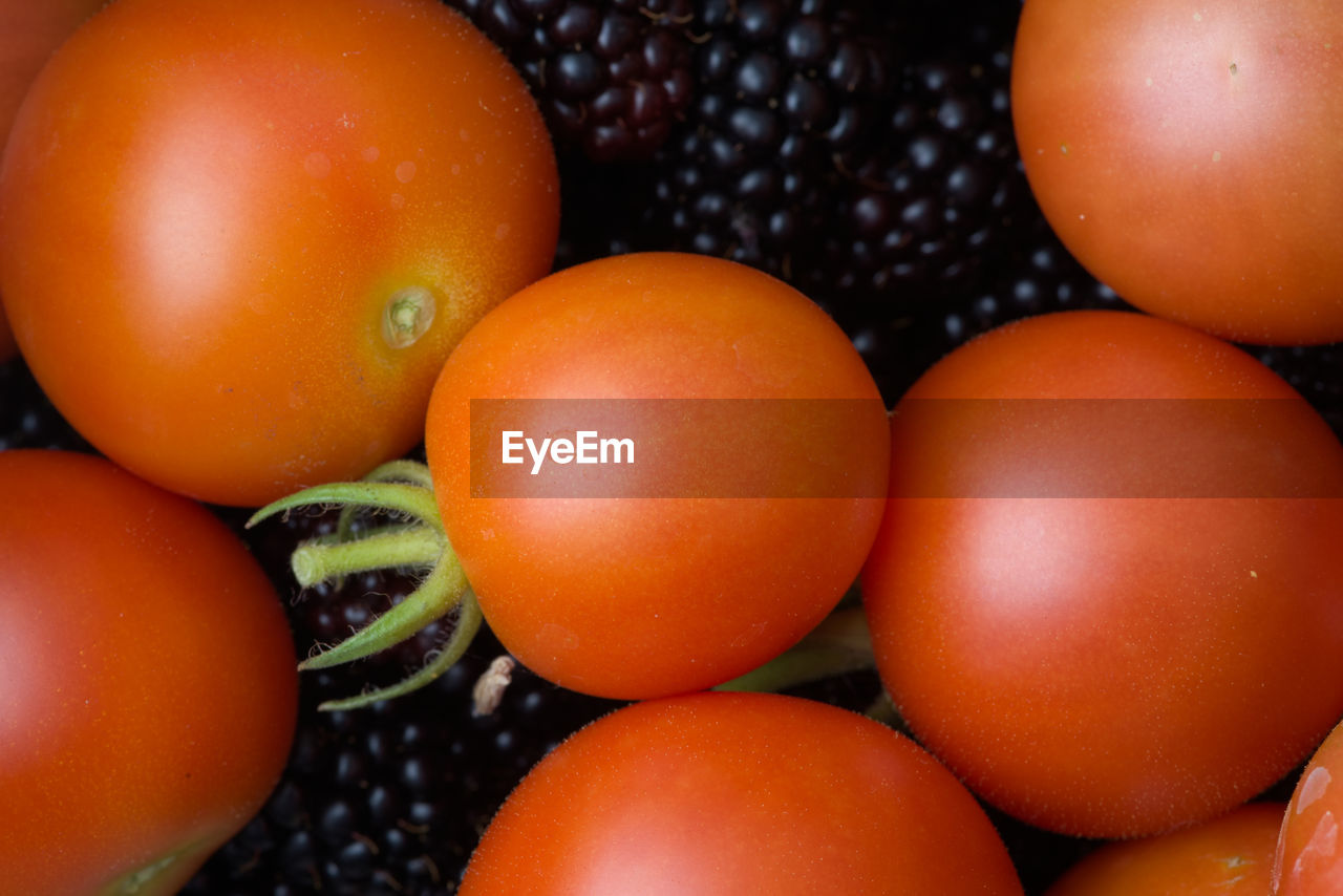 HIGH ANGLE VIEW OF TOMATOES