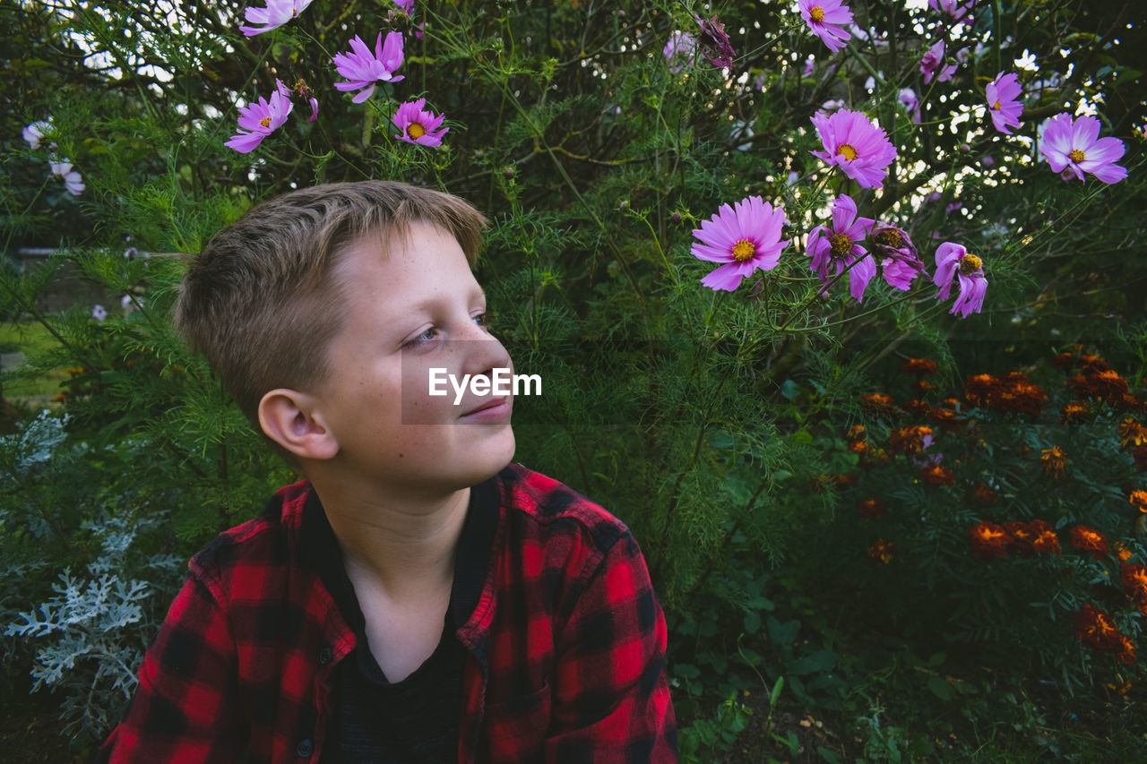 Portrait of cute boy looking at flowering plants