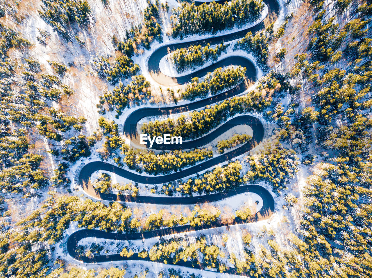 Aerial view of road amidst tree during winter