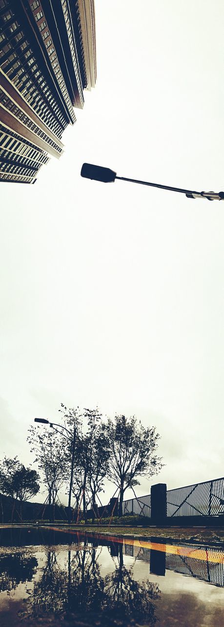 LOW ANGLE VIEW OF TREES AGAINST CLEAR SKY