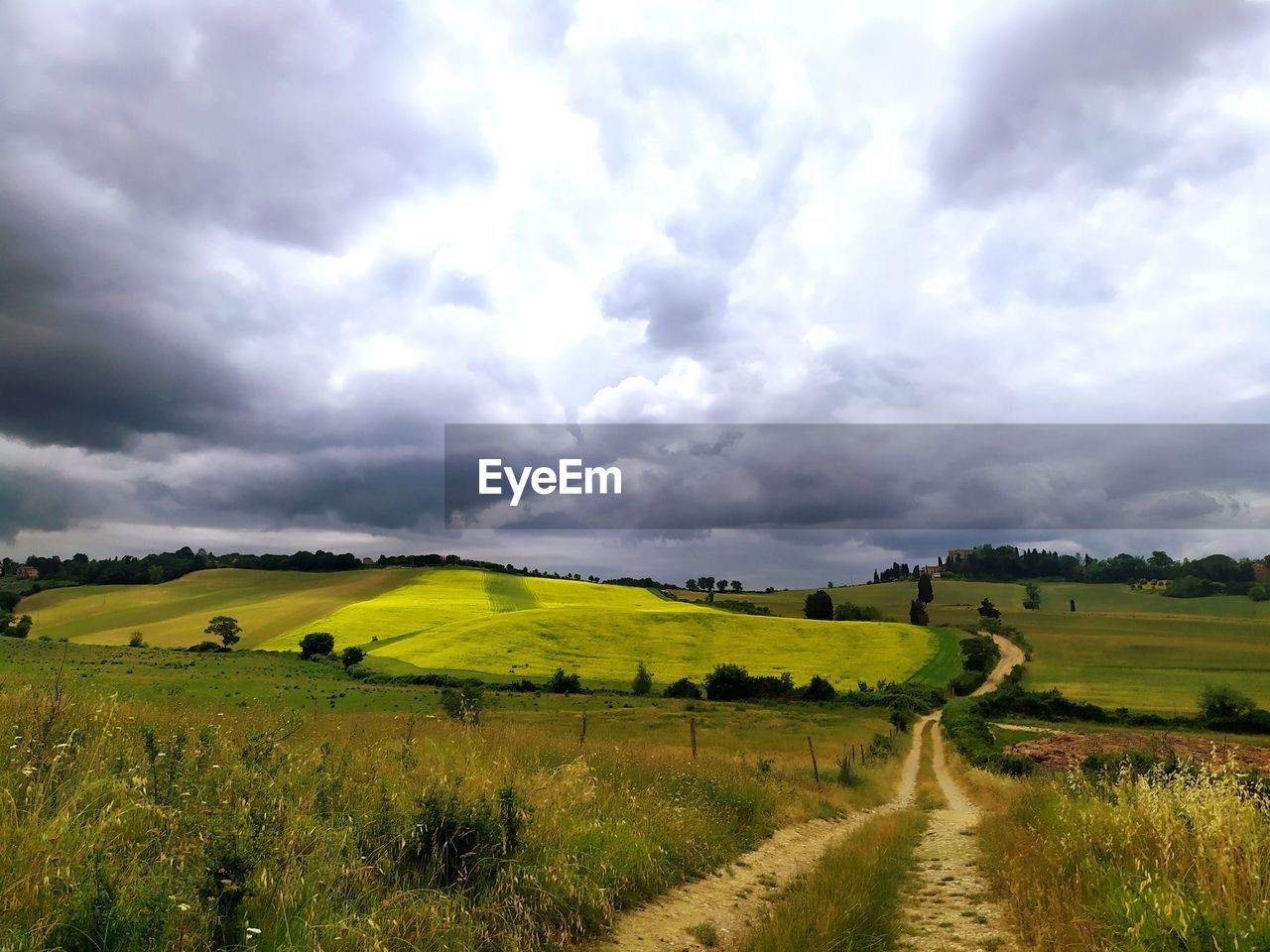 SCENIC VIEW OF RURAL LANDSCAPE