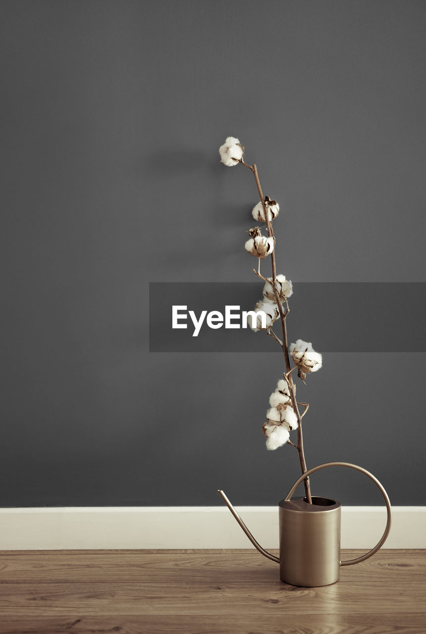 Close-up of cotton plant on table against wall