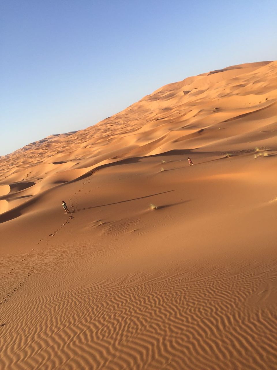 Sand dunes in desert against clear sky