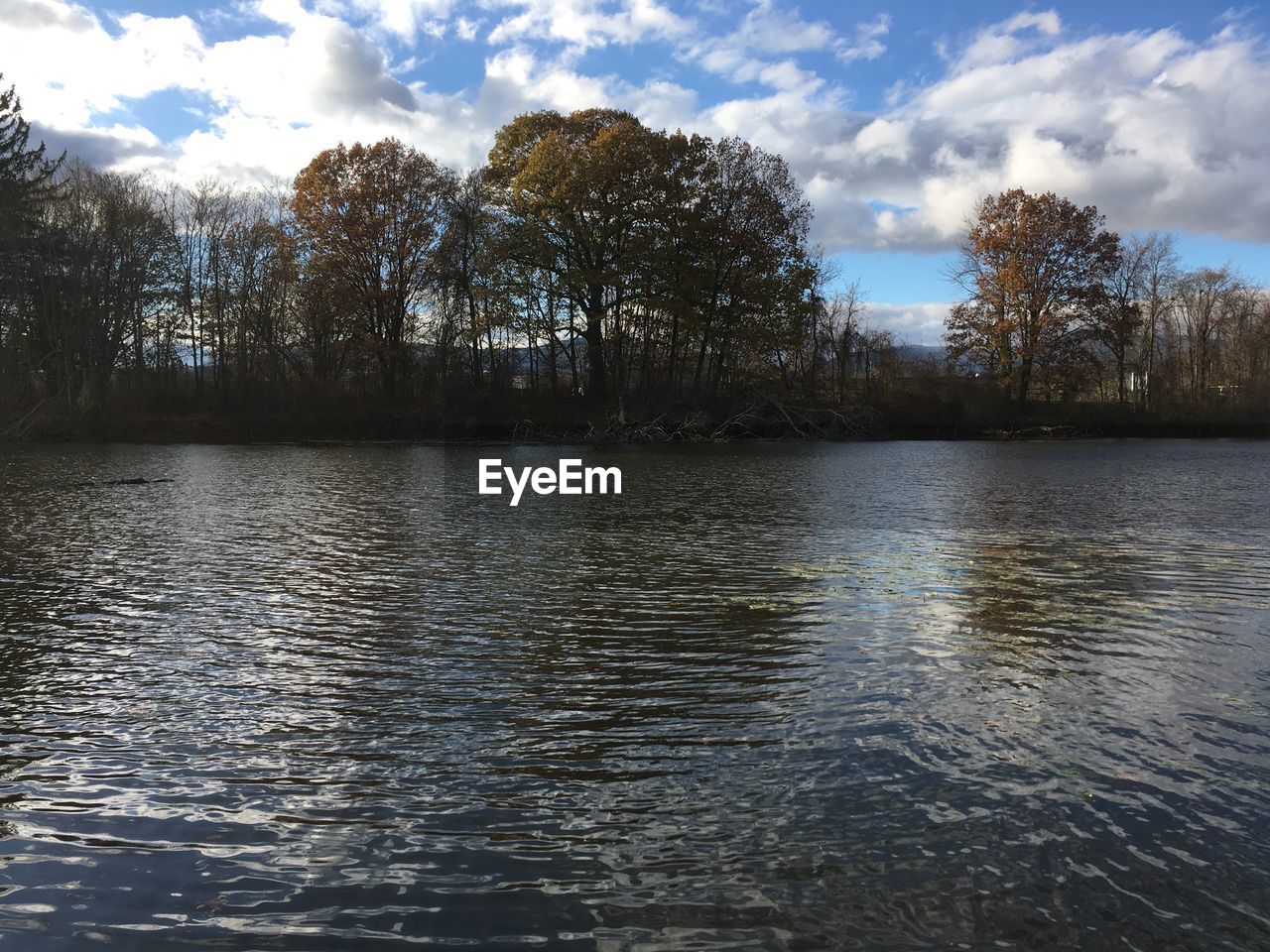 LAKE BY TREES AGAINST SKY