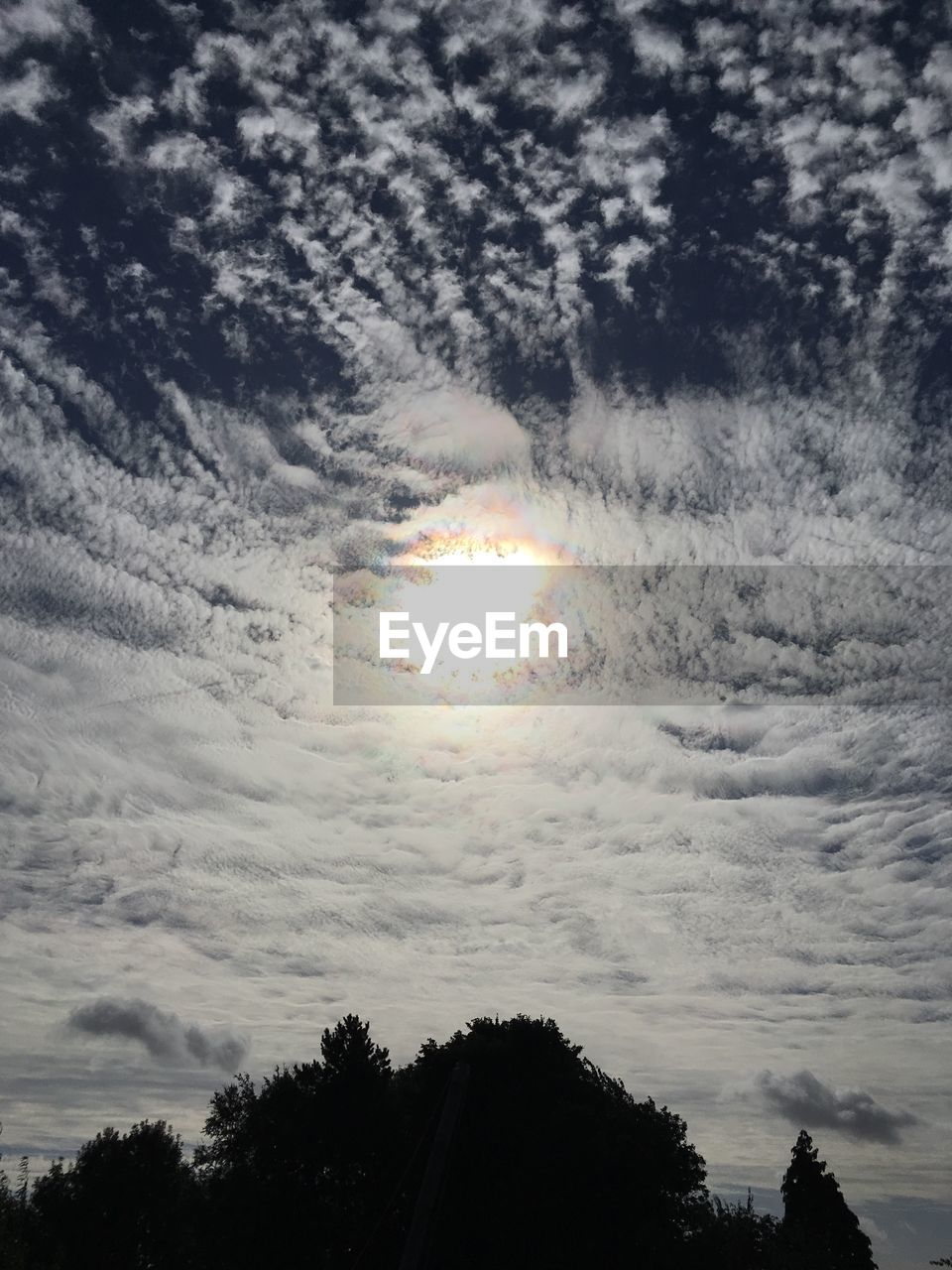 SILHOUETTE OF TREES AGAINST CLOUDY SKY