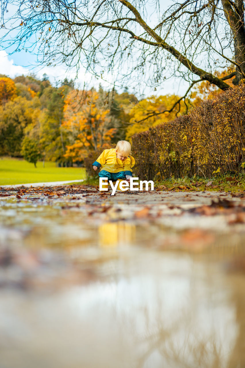 rear view of man jumping in lake during autumn