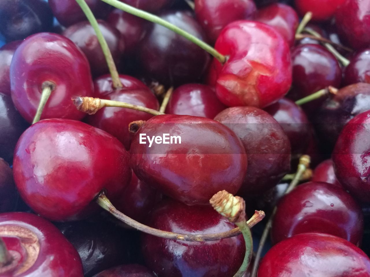 Close-up of ripe cherries