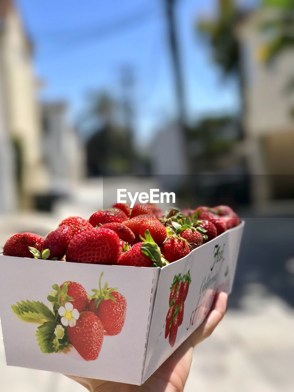 CLOSE-UP OF HAND HOLDING STRAWBERRY