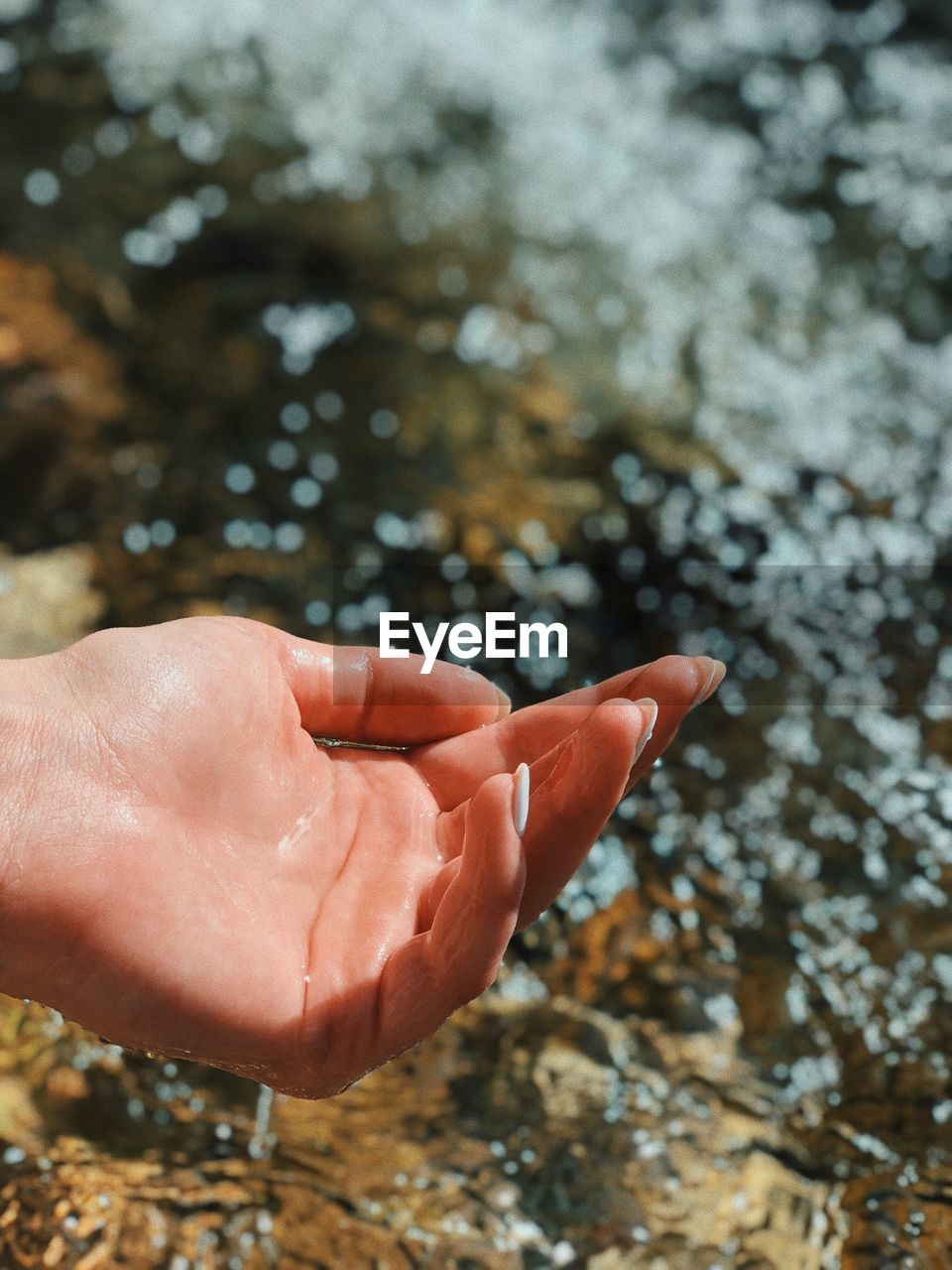 Close-up of wet hand