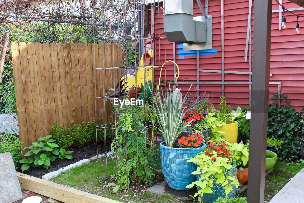 POTTED PLANTS GROWING IN YARD AGAINST FENCE