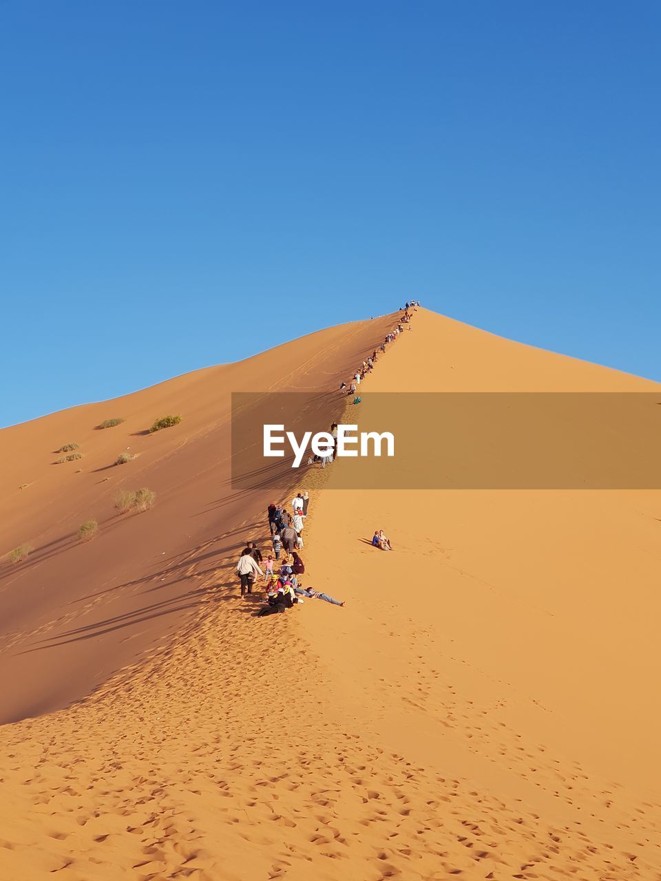 SCENIC VIEW OF PEOPLE ON DESERT