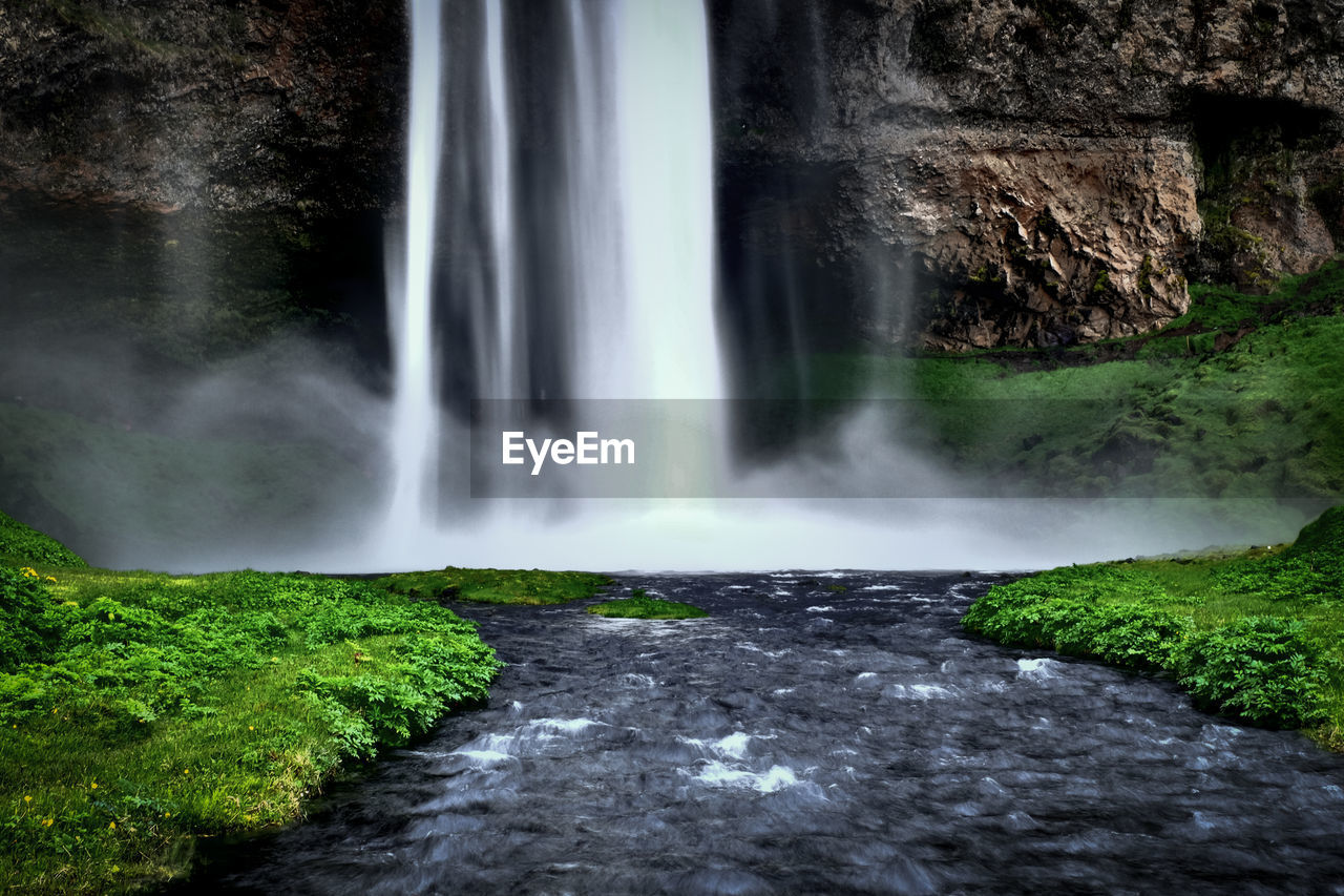 VIEW OF WATERFALL IN FOREST