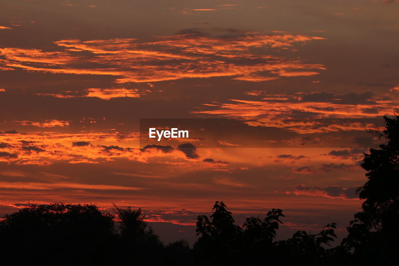 sky, sunset, cloud, beauty in nature, tree, scenics - nature, nature, silhouette, plant, environment, afterglow, tranquility, orange color, landscape, red sky at morning, tranquil scene, dramatic sky, no people, land, idyllic, outdoors, dawn, forest, non-urban scene, travel destinations, travel, mountain, evening, cloudscape, sun, sunlight, red, coniferous tree, atmospheric mood, tourism