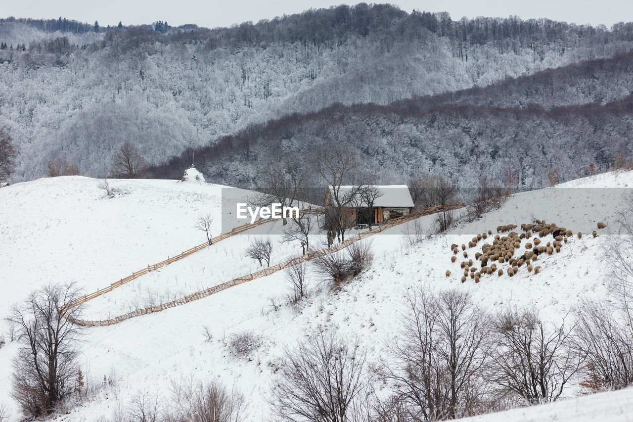 Snow covered landscape against sky